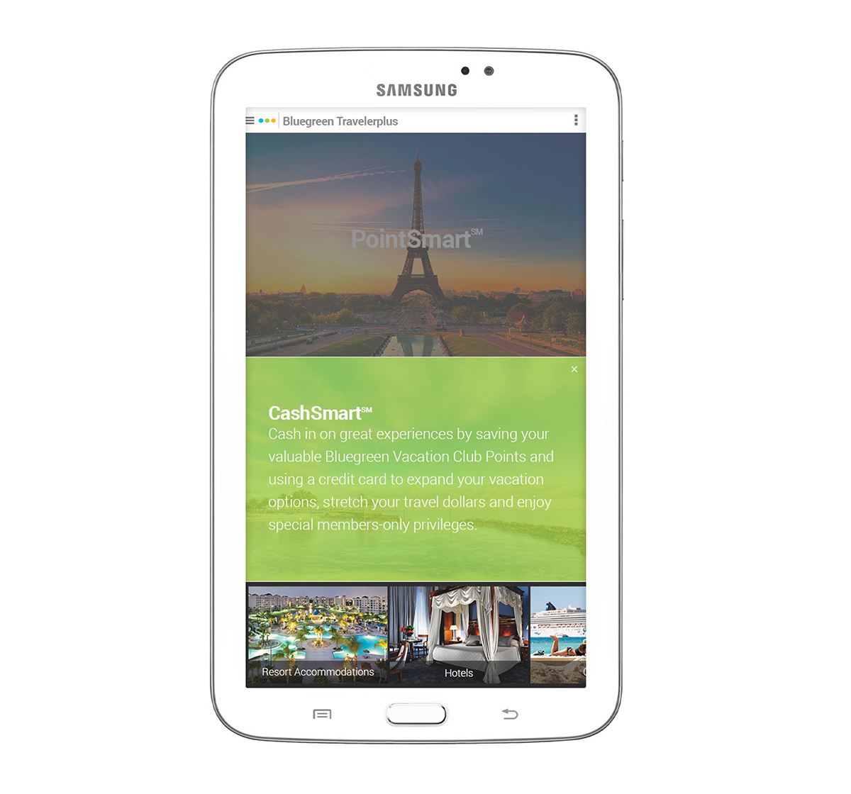 313a1927020393.5635f08cc60f1